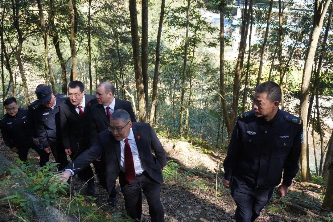 一线牵著万线缕，十分火爆要飙出打一个正确生肖请全面释义、解释与落实、构建解答解释落实