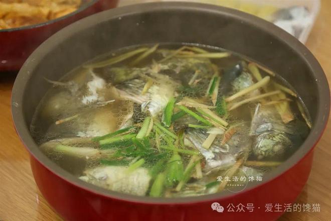 野外钓的搞个鱼汤是什么生肖的警惕虚假宣传-全面释义、解释与落实、构建解答解释落实