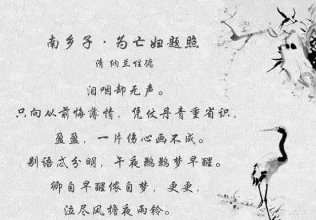 憐香惜花，聊寄思君，何識花飛離別新打一最准生肖仔细释义、解释与落实、实证解答解释落实